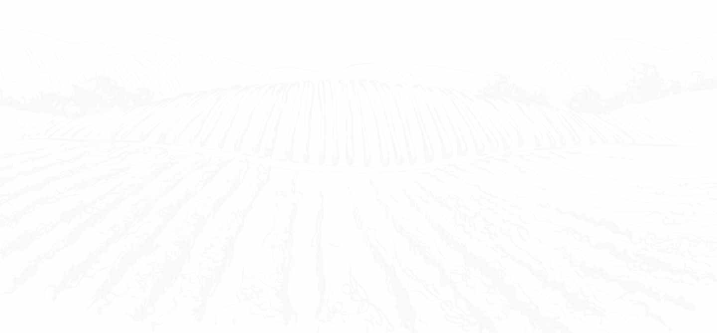 Bulk Molasses for Horticulture & Animal Feed Supply Shipping Nationwide